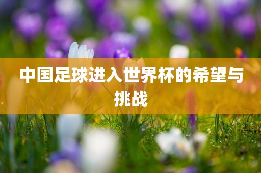 linhuijia 第6页
