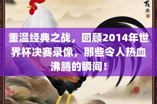 重温经典之战，回顾2014年世界杯决赛录像，那些令人热血沸腾的瞬间！