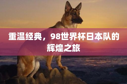 重温经典，98世界杯日本队的辉煌广西贺州市华昌新材料有限公司之旅