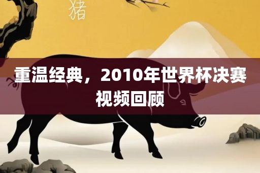重温经典，2010年世界杯决赛视频回顾