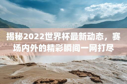 揭秘2022世界杯最新动态，赛场内外的精彩瞬间一网打尽