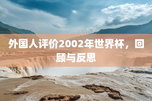 外国人评价2002年世界杯，回顾与反思