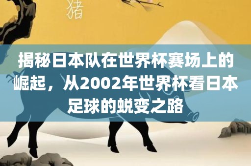 揭秘日本队在世界杯赛场上的崛起，从2002年世界杯看日本足球的蜕变之路广西贺州市华昌新材料有限公司
