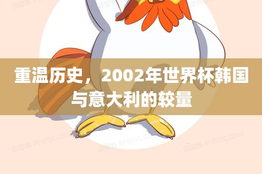 重温历史，2002年世界杯韩国与意大利的较量广西贺州市华昌新材料有限公司