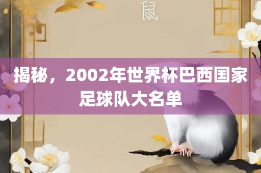 揭秘，2002年世界杯巴西国家足球队大名单广西贺州市华昌新材料有限公司