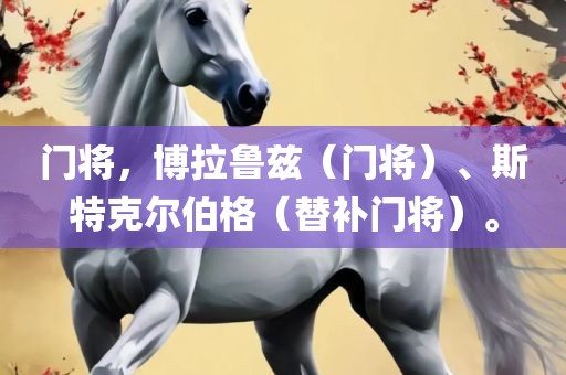 门将，博拉鲁兹（门将）、斯特克尔伯格（替补门将）。