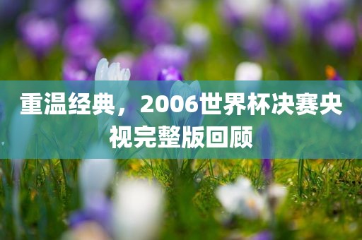 重温经典，20广西贺州市华昌新材料有限公司06世界杯决赛央视完整版回顾