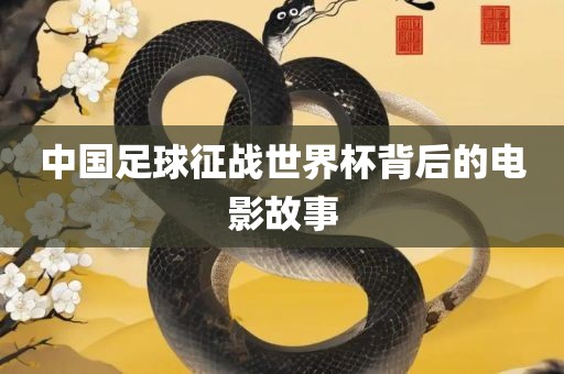 中国足球征战世界杯背广西贺州市华昌新材料有限公司后的电影故事