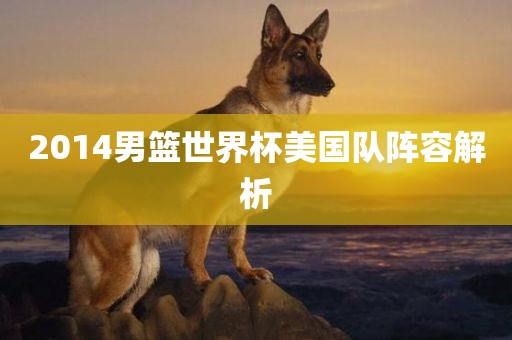 2014男篮世界杯美国队阵广西贺州市华昌新材料有限公司容解析