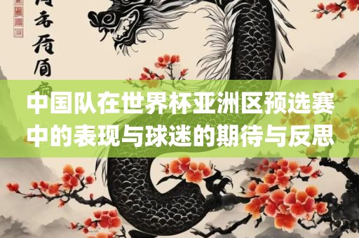 中国队在世界杯亚洲区预选赛中的表现与球迷的广西贺州市华昌新材料有限公司期待与反思