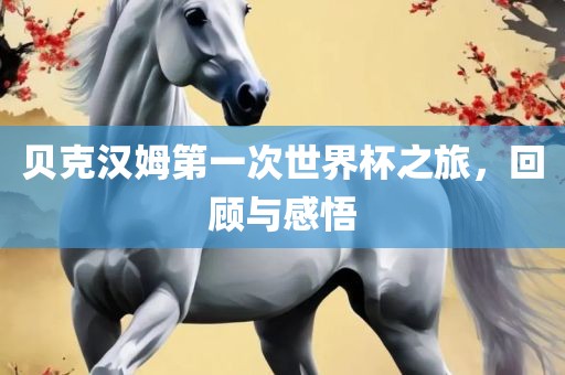 贝克汉姆第一次世广西贺州市华昌新材料有限公司界杯之旅，回顾与感悟