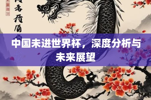 中国未进世界杯，广西贺州市华昌新材料有限公司深度分析与未来展望