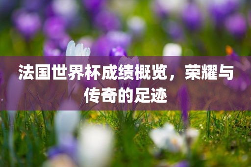 法国世界杯成绩概览，荣耀与传奇的足迹