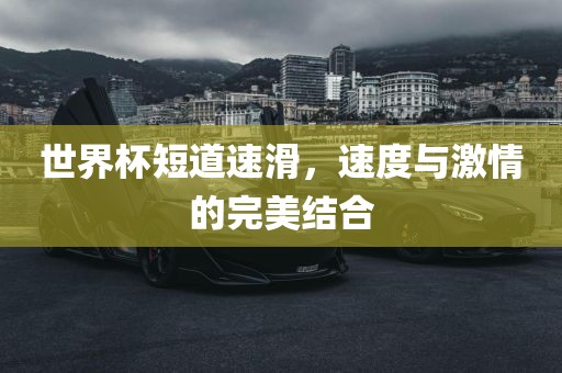 世界杯短道速滑，速度与激情的完美结合