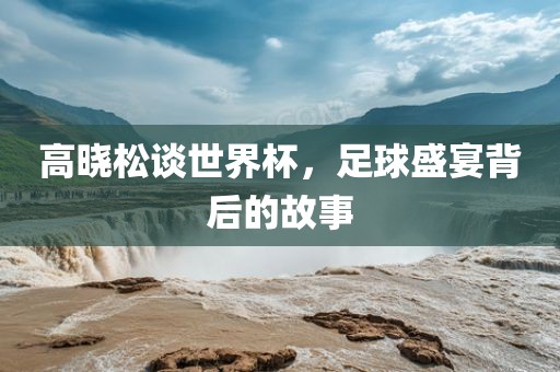 高晓松谈世界杯，足球盛宴背后的故事广西贺州市华昌新材料有限公司
