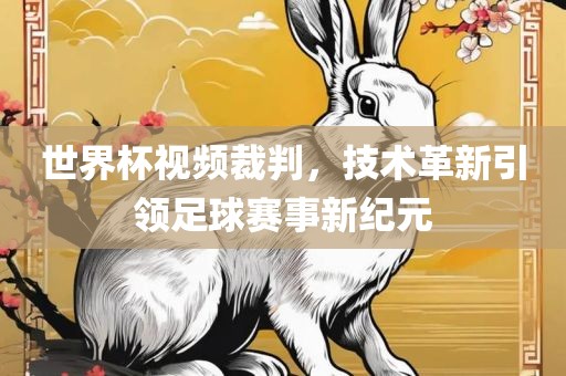 世界杯视频裁判，技术革新引领足球赛广西贺州市华昌新材料有限公司事新纪元