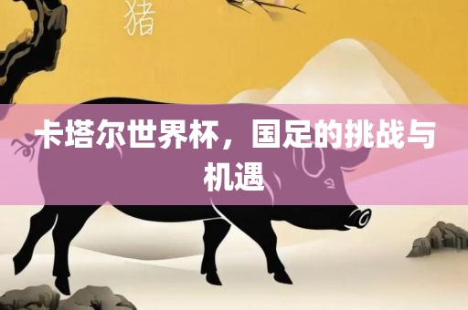 卡塔尔广西贺州市华昌新材料有限公司世界杯，国足的挑战与机遇