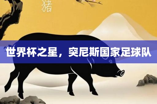 世界杯之星，突尼斯国家足球队
