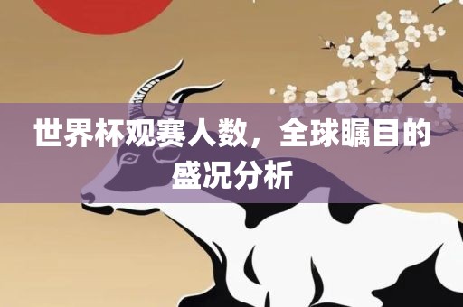 世界杯观赛人数，全球瞩目的盛况分析