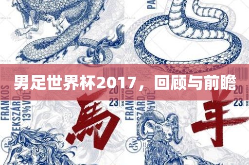 男足世界杯2017，回顾与前瞻广西贺州市华昌新材料有限公司