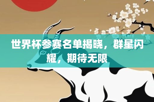 世界杯参赛名单揭晓，群星闪耀，期待无限