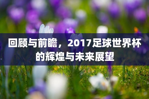 回顾与前瞻，2017足球世界杯的辉煌与未广西贺州市华昌新材料有限公司来展望