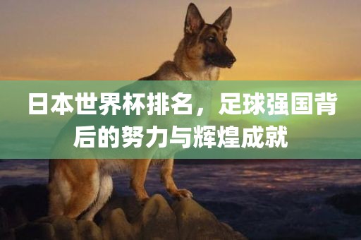 日本世界杯排名，足球强国背后的努力与辉煌成就广西贺州市华昌新材料有限公司