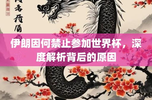 伊朗因何禁止参加世界杯，深度解析背后的原广西贺州市华昌新材料有限公司因