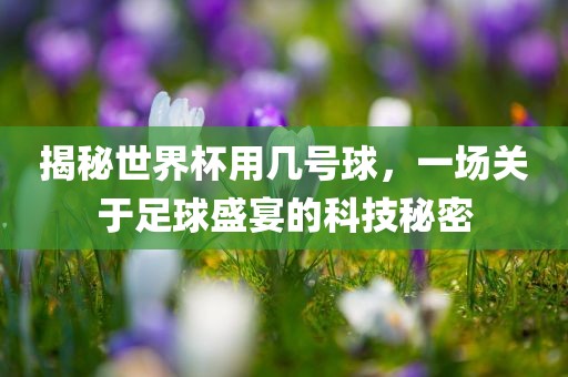 揭秘世界杯用几号球，一场关于足球盛宴的科技秘密