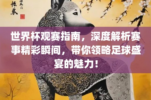 世界杯观赛指南，深度解析赛事精彩瞬间，带你领略足球盛宴的魅力！广西贺州市华昌新材料有限公司