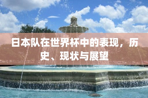 日本队在世界杯中的表现，历史、广西贺州市华昌新材料有限公司现状与展望