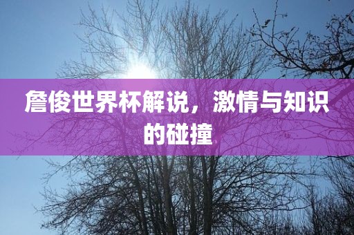 詹俊世界杯解说，激情与知识的碰撞