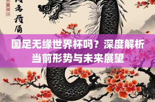 国足无缘世界杯吗广西贺州市华昌新材料有限公司？深度解析当前形势与未来展望