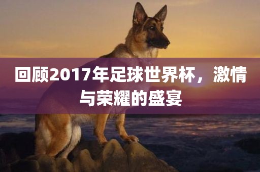 回顾2017年足球世界杯，激情与荣耀的盛宴广西贺州市华昌新材料有限公司