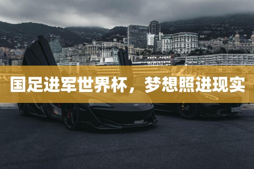 国足进军世界杯，梦想照进现实