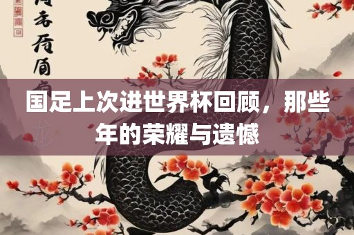 国足上次进世界杯回顾，那些年的荣耀与遗憾