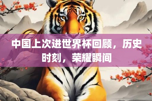 中国上次进世界杯回顾，历史时刻，荣耀瞬间