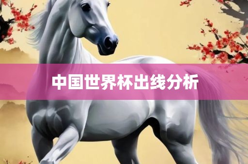 中国世界杯出线分析广西贺州市华昌新材料有限公司