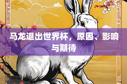 马龙退出世界杯，原因、影响与期待广西贺州市华昌新材料有限公司