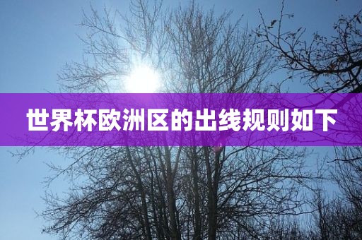 世界杯欧洲区的出线规则如下广西贺州市华昌新材料有限公司