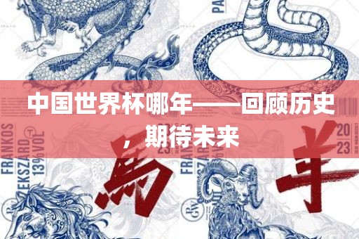 中国世界杯哪年——回顾历史，期待未来广西贺州市华昌新材料有限公司