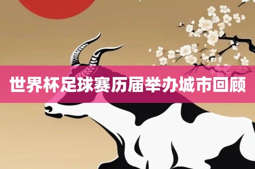 世界杯足球赛历届举办城市回顾广西贺州市华昌新材料有限公司