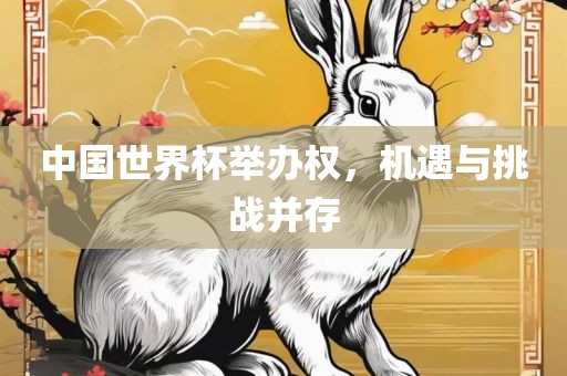 中国世界杯举办权，机遇与挑战并存