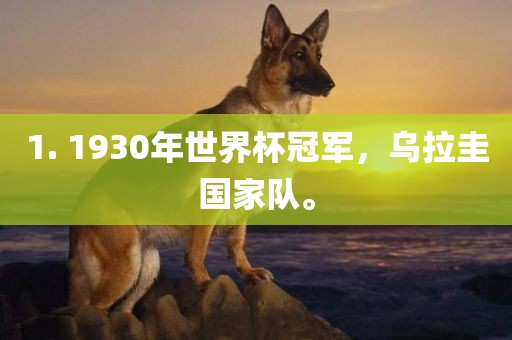 1. 1930年世界杯冠军，乌拉圭国家队。