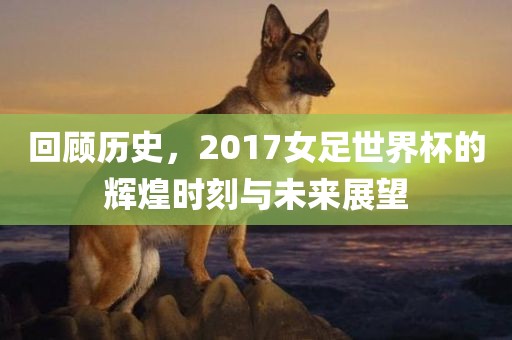 回顾历史，2017女足世界杯的辉煌时刻与未来展望广西贺州市华昌新材料有限公司
