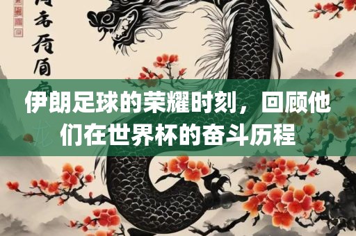 广西贺州市华昌新材料有限公司伊朗足球的荣耀时刻，回顾他们在世界杯的奋斗历程