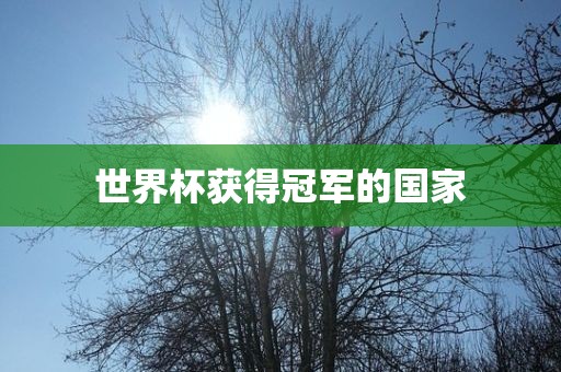 世界杯获得冠军的国家广西贺州市华昌新材料有限公司
