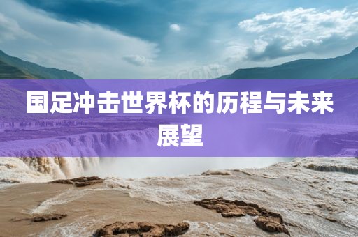 国足冲击世界杯的历程与未来展望