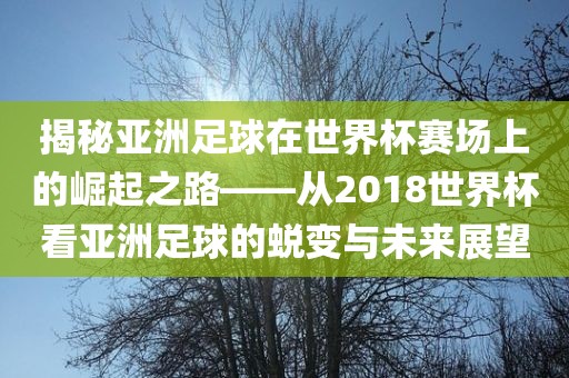 揭秘亚洲足球在世界杯赛场上的崛起之路——从2018世界杯看亚洲足球的蜕变与未来展望广西贺州市华昌新材料有限公司