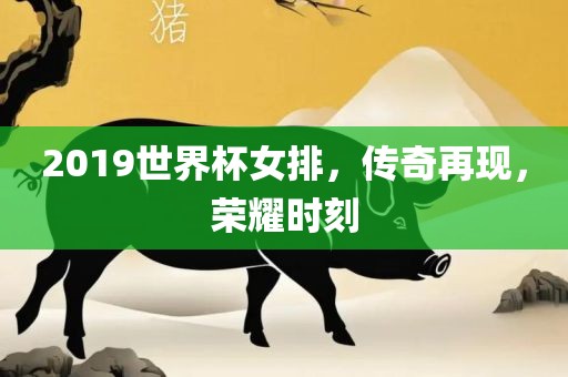 2019世界杯女排，传奇再现，荣耀时刻